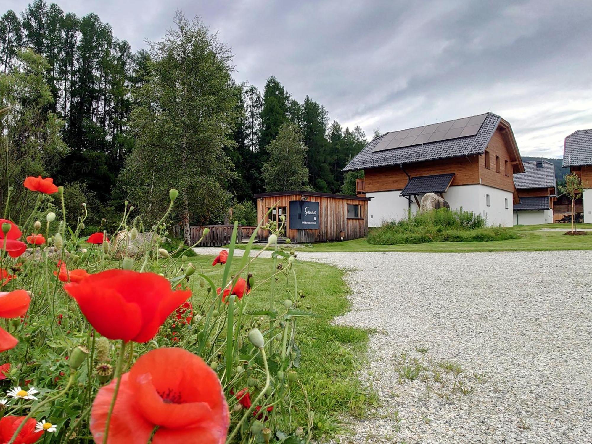 Ferienwohnung Premium Tauernstyle Golling Mariapfarr Exterior foto